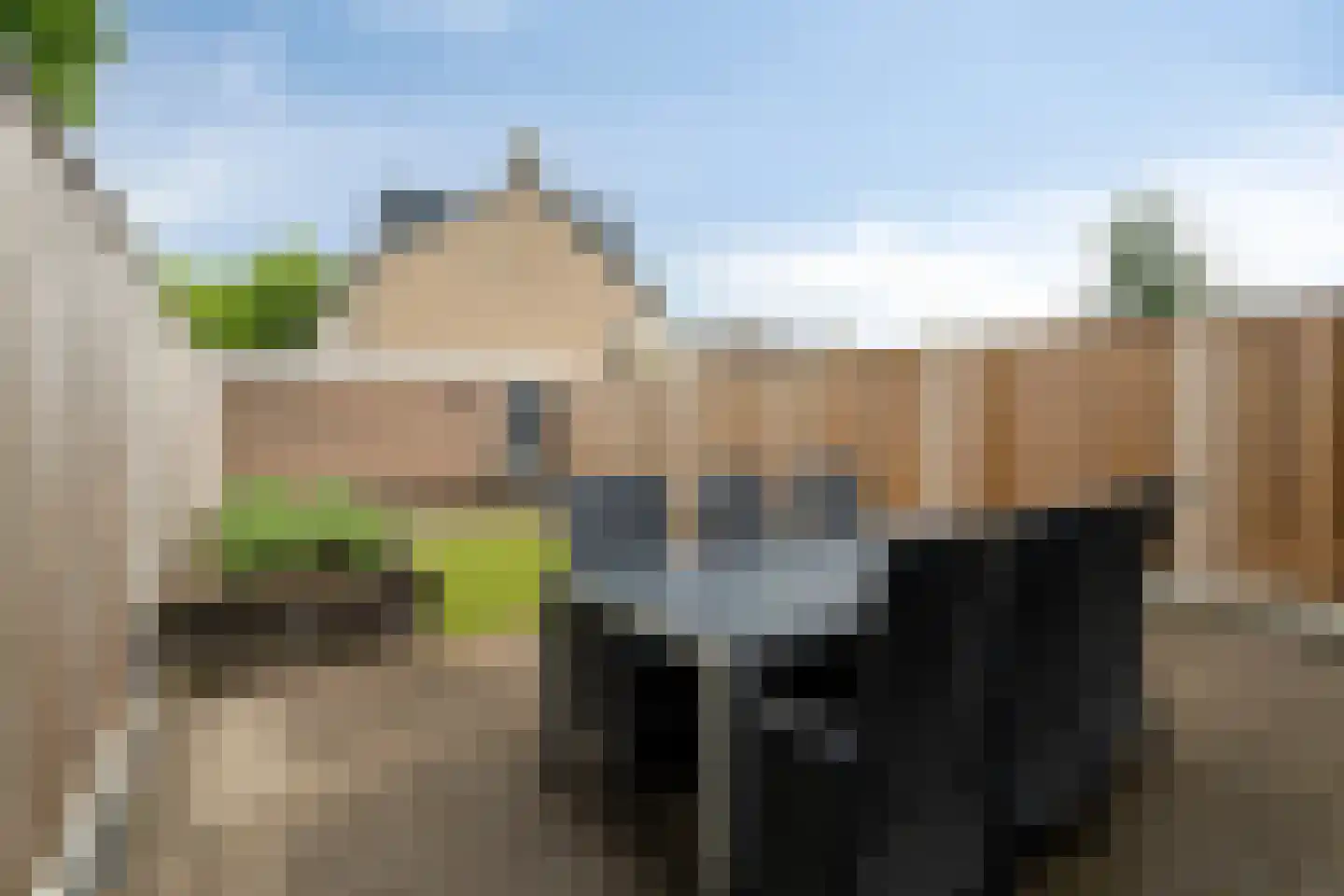 Ambachtenlaan 65 Breda thumbnail 35