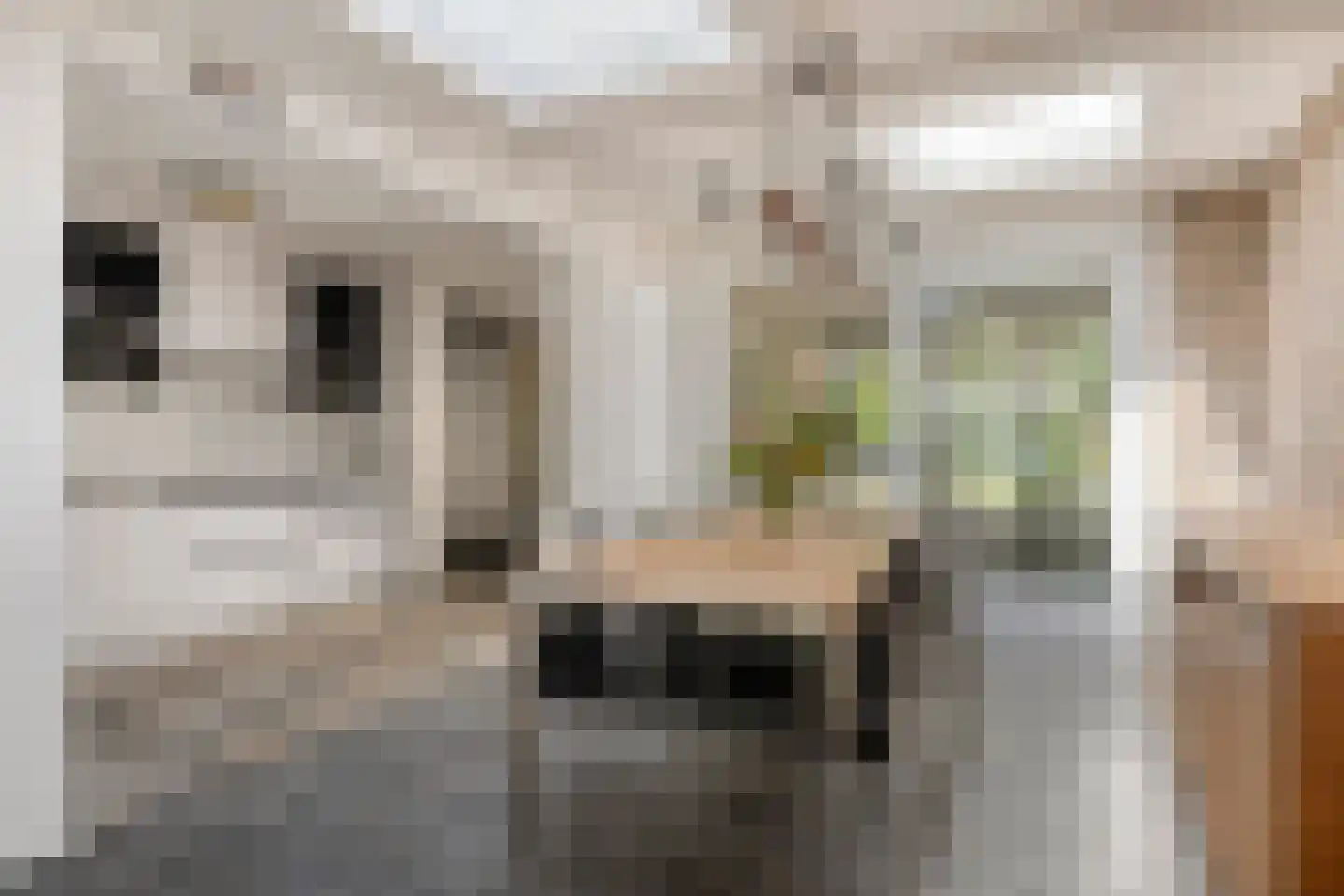 Ambachtenlaan 66 Breda thumbnail 13
