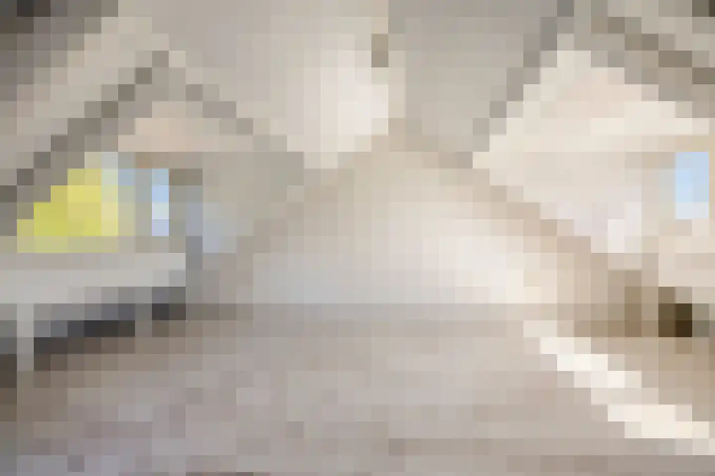 Ambachtenlaan 66 Breda thumbnail 33