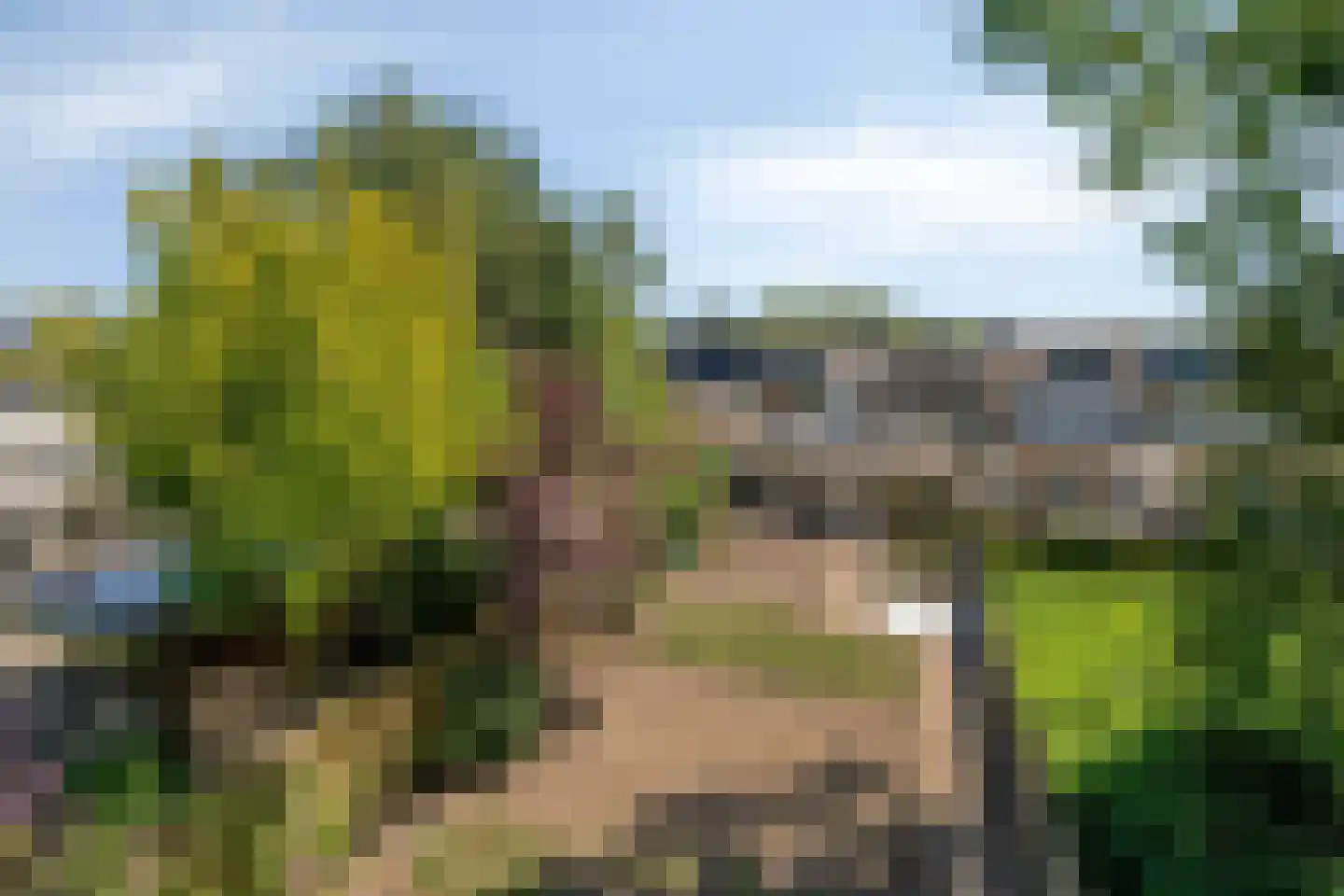 Ambachtenlaan 66 Breda thumbnail 42