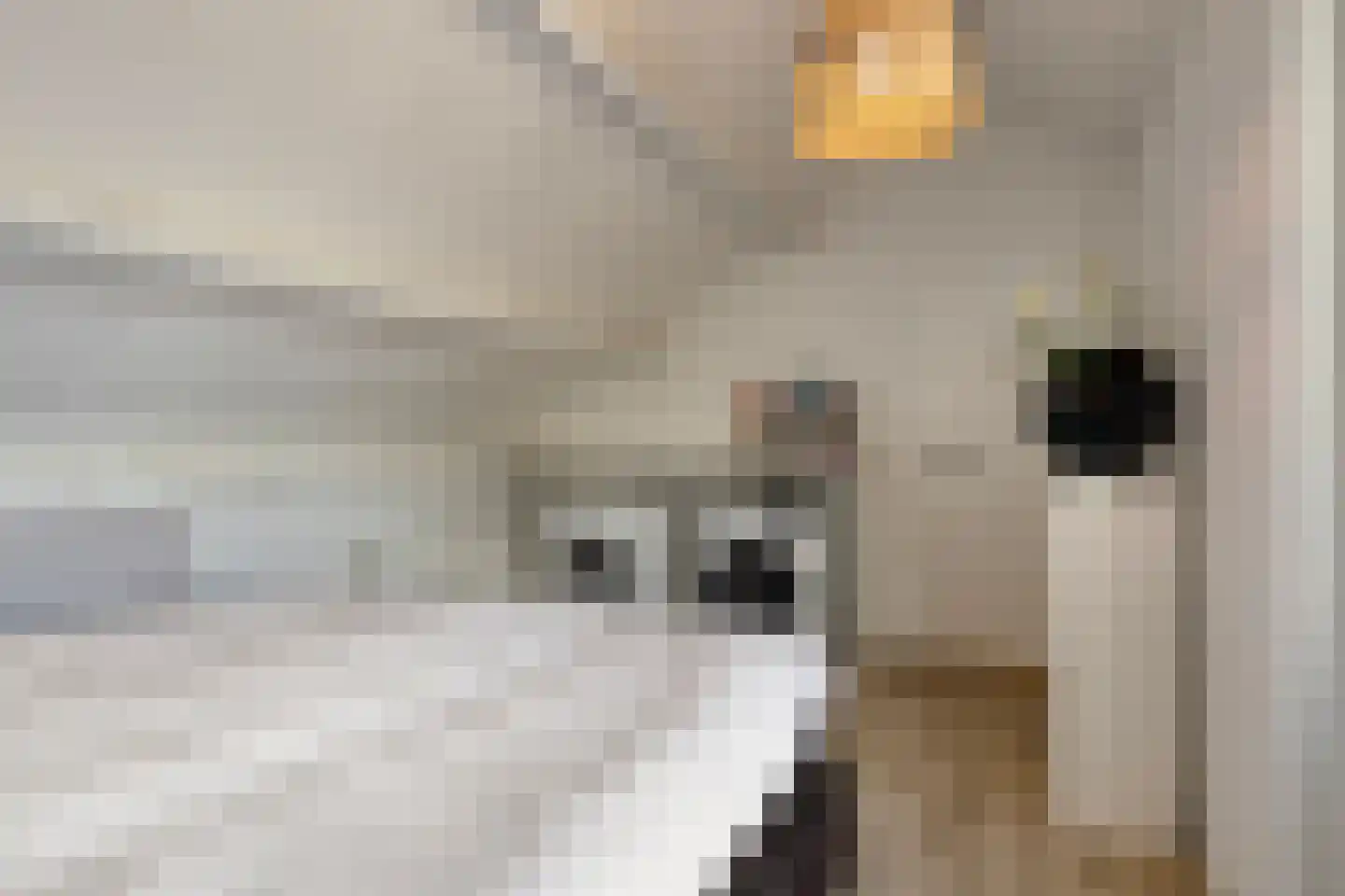 Ambachtenlaan 69 Breda thumbnail 28