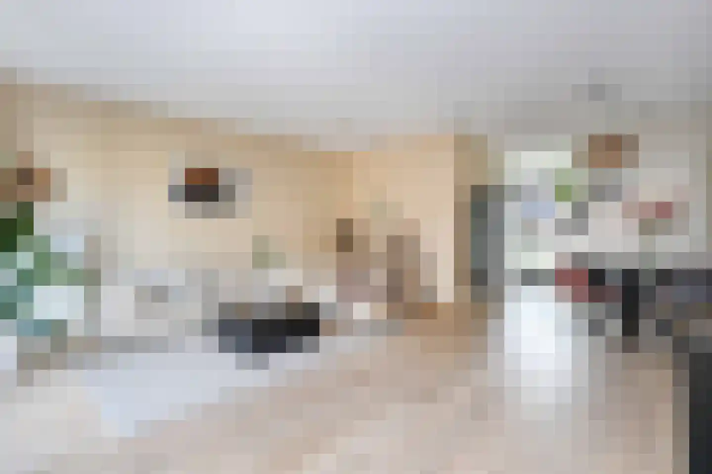 Ambachtlaan 1 A Hoogland thumbnail 15