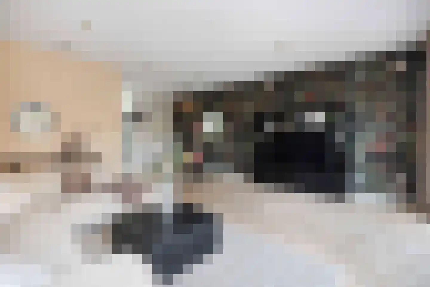 Ambachtlaan 1 A Hoogland thumbnail 16