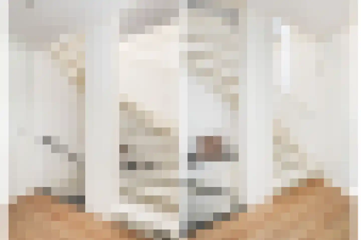 Ambachtlaan 1 A Hoogland thumbnail 25