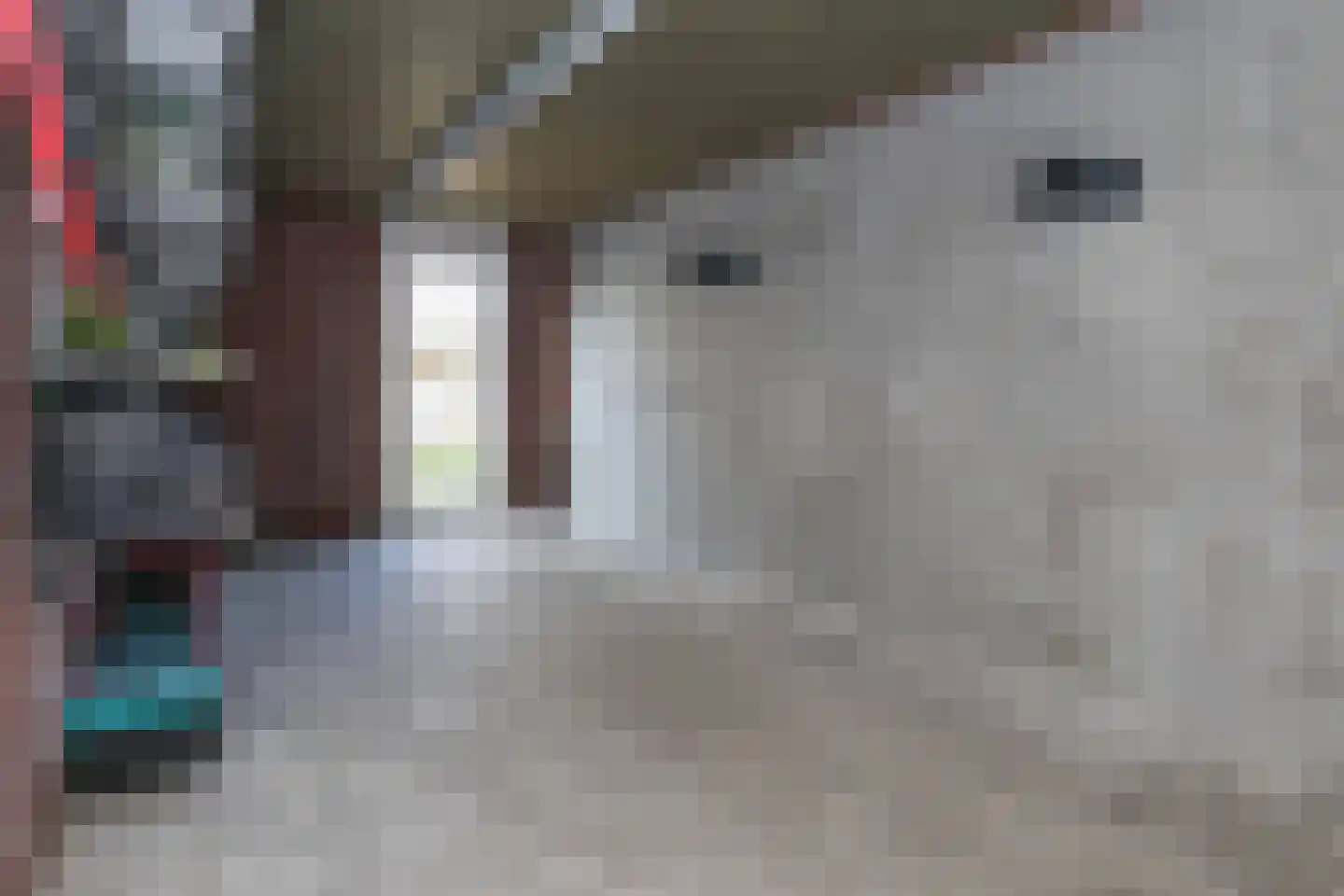 Ambachtlaan 1 A Hoogland thumbnail 39