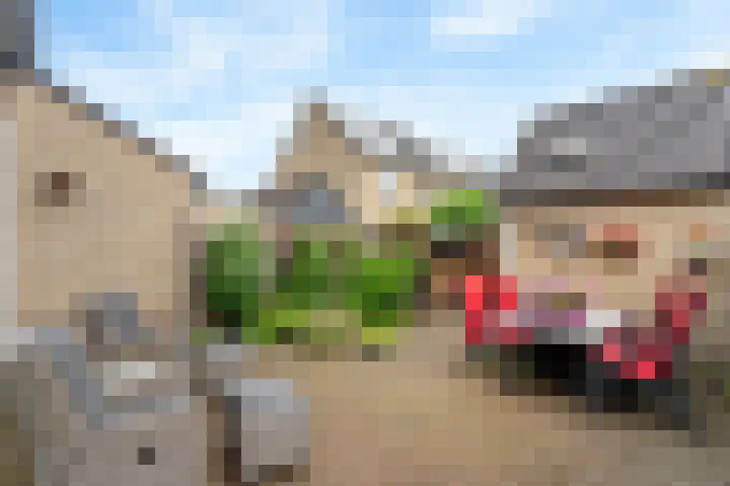 Ambachtlaan 31 Hoogland thumbnail 34