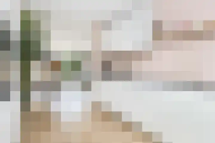 Ambachtlaan 78 Hoogland thumbnail 10