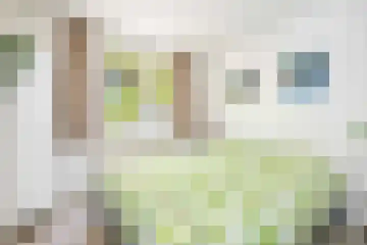 Ambachtlaan 78 Hoogland thumbnail 17
