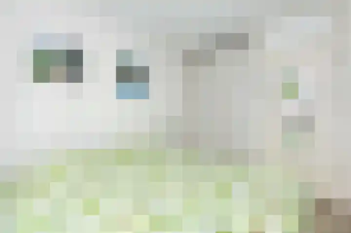 Ambachtlaan 78 Hoogland thumbnail 18