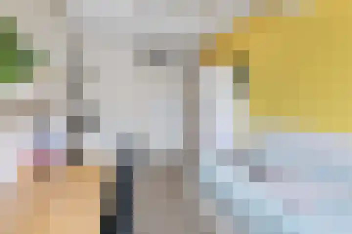 Ambachtlaan 78 Hoogland thumbnail 22