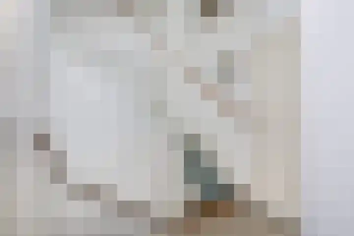 Ambachtlaan 78 Hoogland thumbnail 23