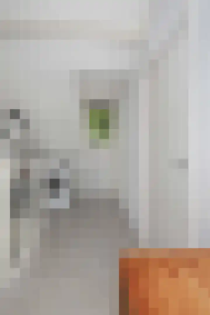 Ambachtlaan 78 Hoogland thumbnail 24