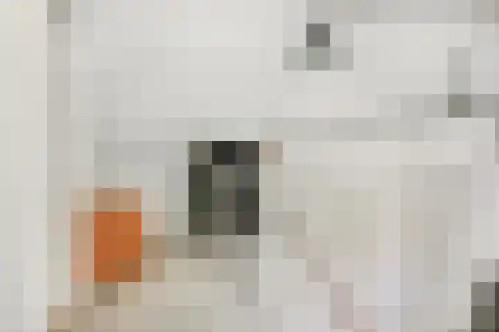 Ambachtlaan 78 Hoogland thumbnail 25