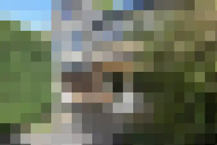 Ambachtlaan 78 Hoogland thumbnail 28
