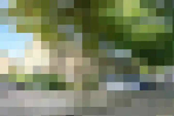 Ambachtlaan 78 Hoogland thumbnail 33