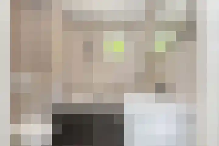 Ambachtlaan 78 Hoogland thumbnail 4