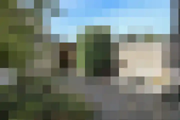 Ambachtlaan 78 Hoogland thumbnail 5