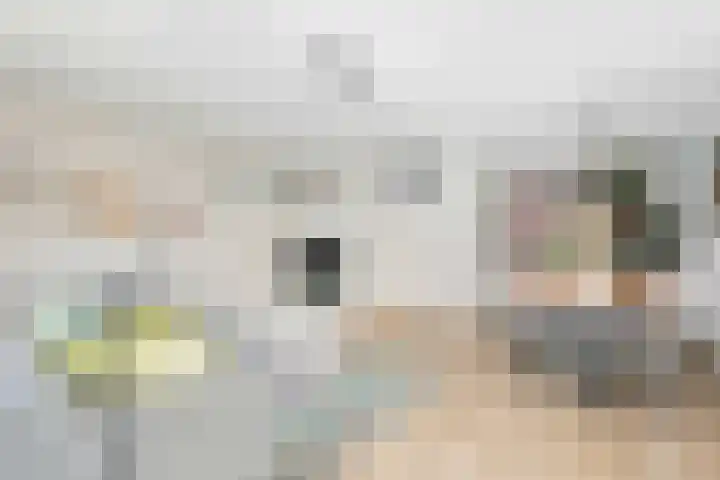 Ambachtlaan 78 Hoogland thumbnail 6