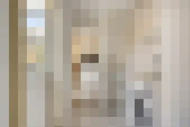 Ambachtsdreef 13 Oudewater thumbnail 10
