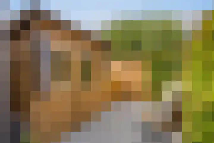 Ambachtsdreef 13 Oudewater thumbnail 12