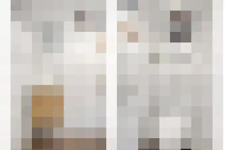 Ambachtsdreef 13 Oudewater thumbnail 16