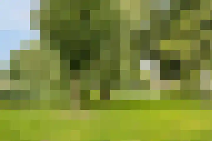 Ambachtsdreef 13 Oudewater thumbnail 29