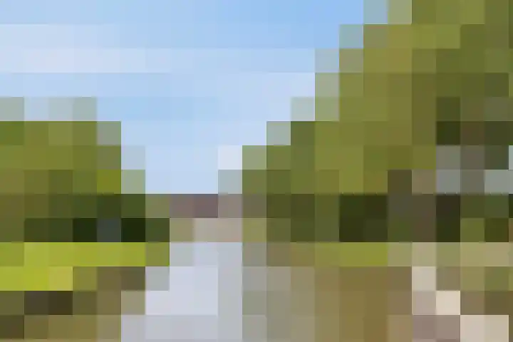 Ambachtsdreef 13 Oudewater thumbnail 31