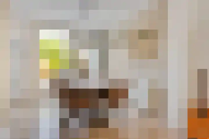 Ambachtsdreef 13 Oudewater thumbnail 5