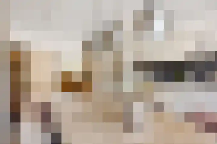 Ambachtsdreef 13 Oudewater thumbnail 6