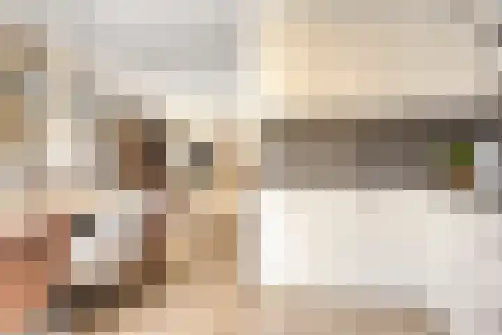 Ambachtsdreef 13 Oudewater thumbnail 8