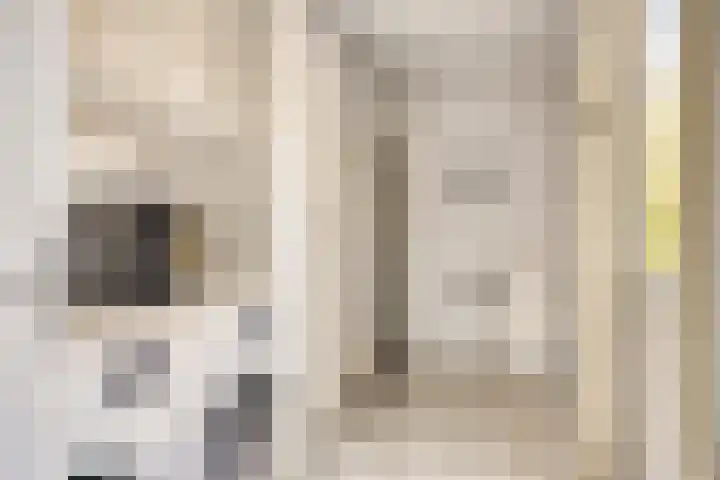 Ambachtsdreef 13 Oudewater thumbnail 9