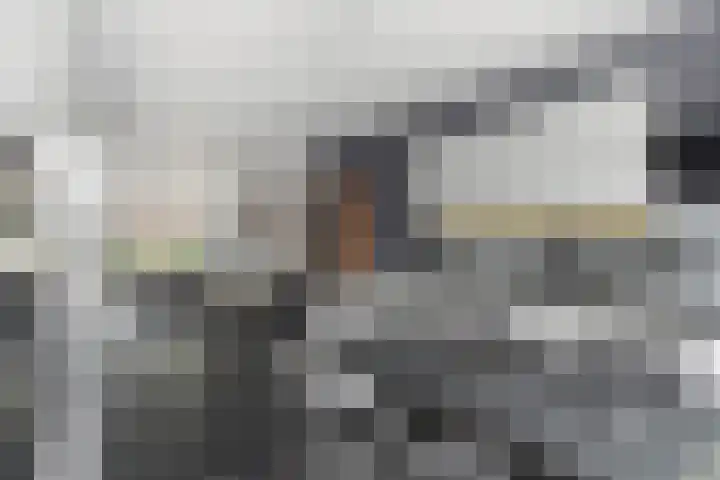 Ambachtsgaarde 120 Den Haag thumbnail 13