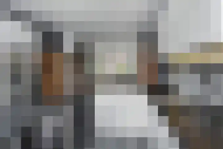 Ambachtsgaarde 120 Den Haag thumbnail 15
