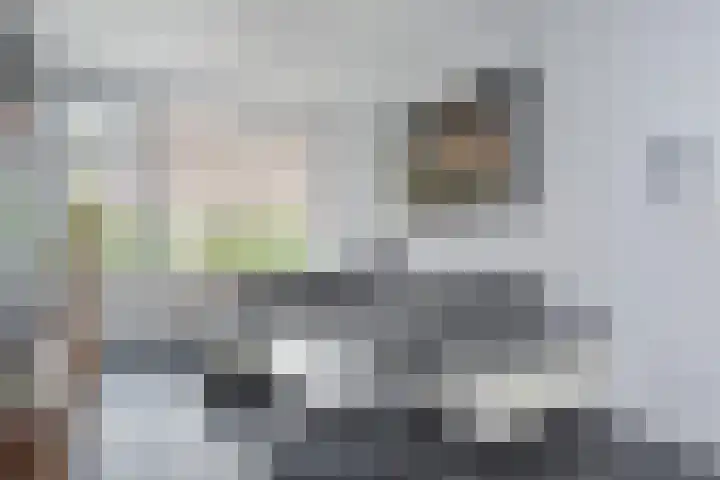 Ambachtsgaarde 120 Den Haag thumbnail 4