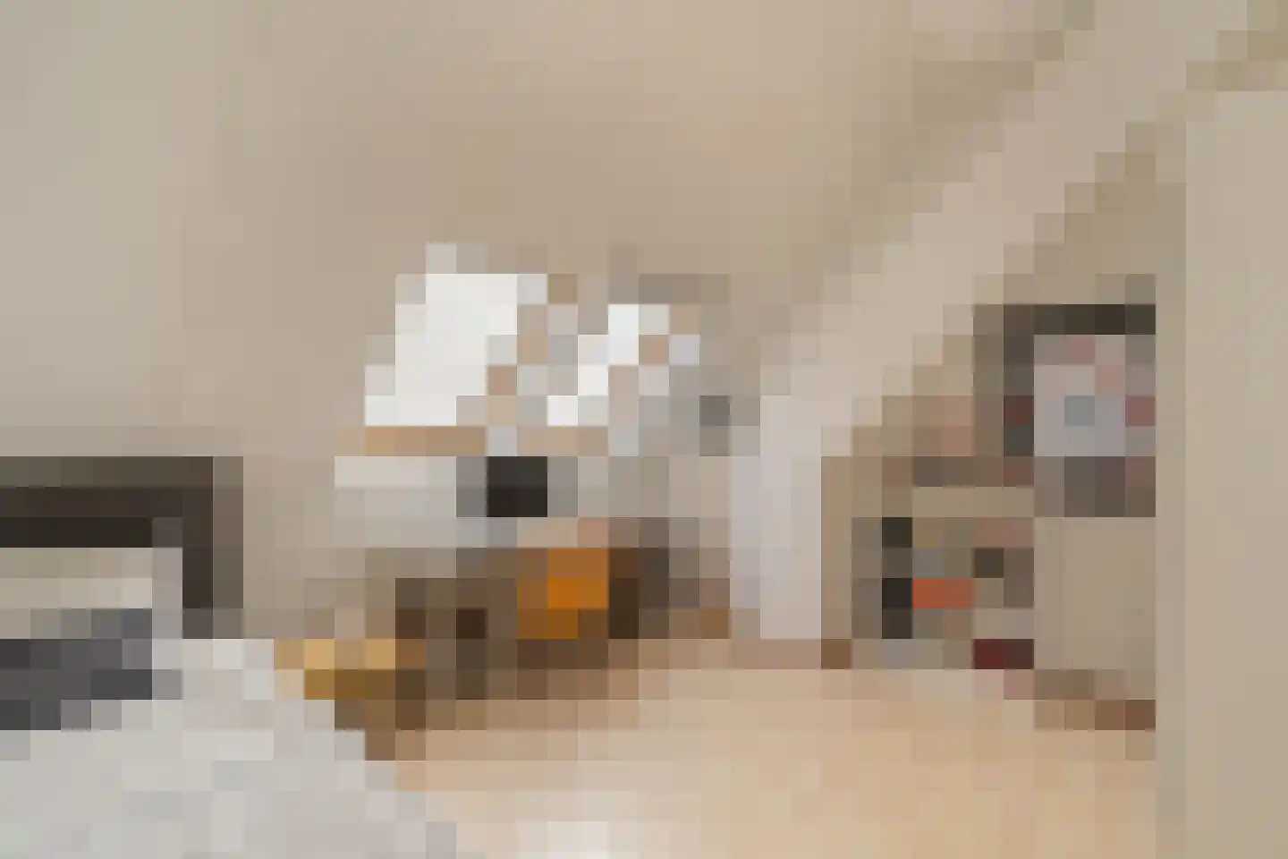 Ambachtsgeest 17 Noordwijk thumbnail 26