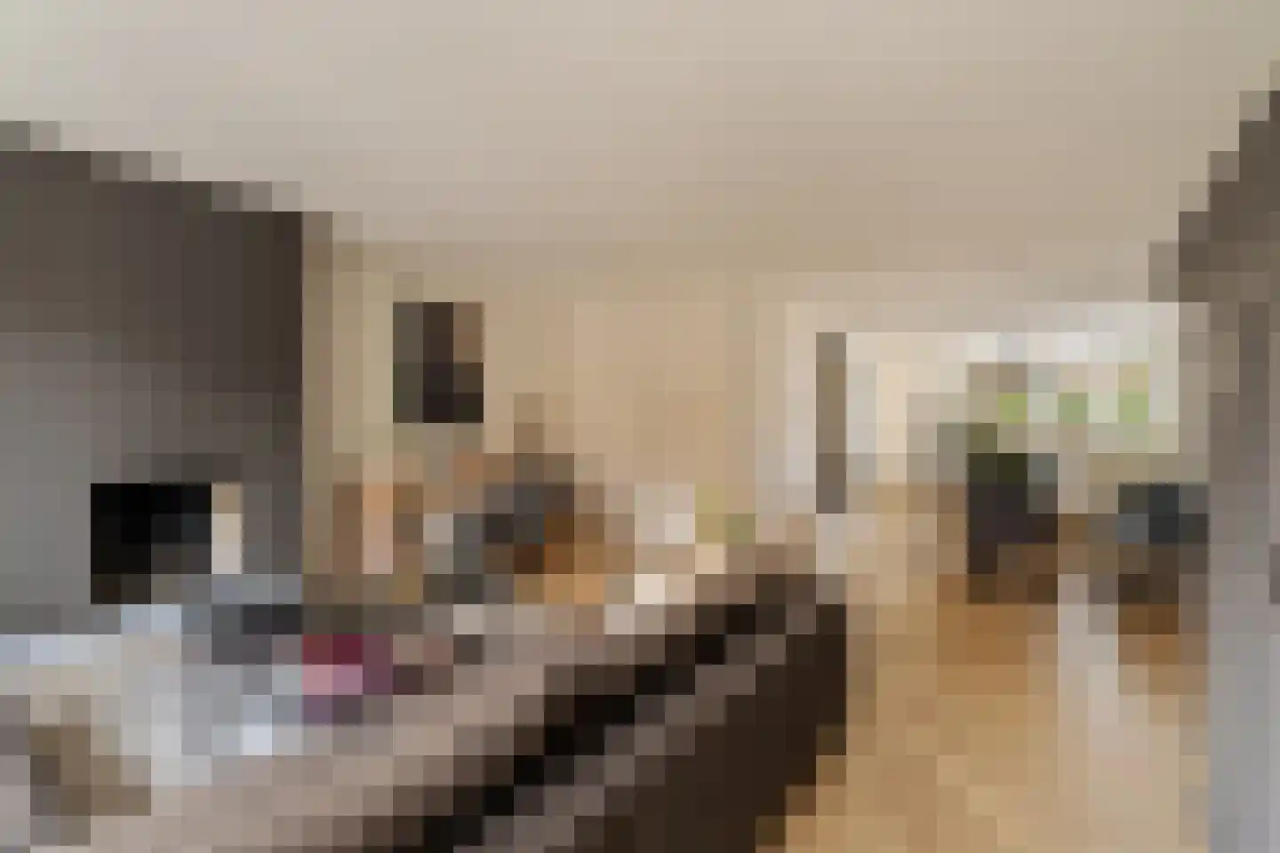 Ambachtsgeest 17 Noordwijk thumbnail 4