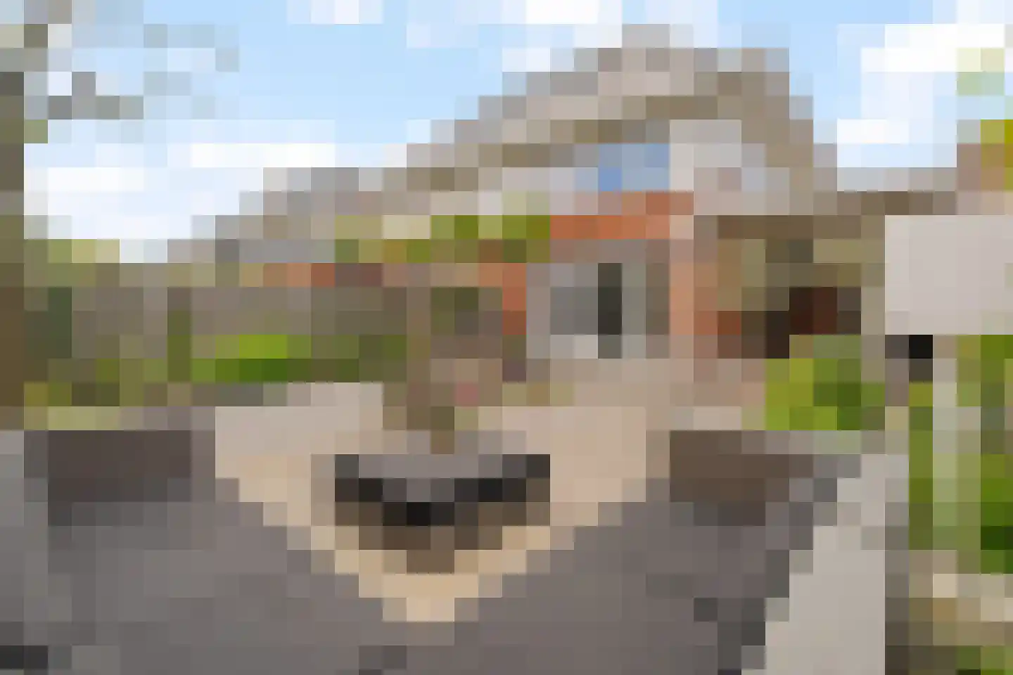 Ambachtsgeest 17 Noordwijk thumbnail 7