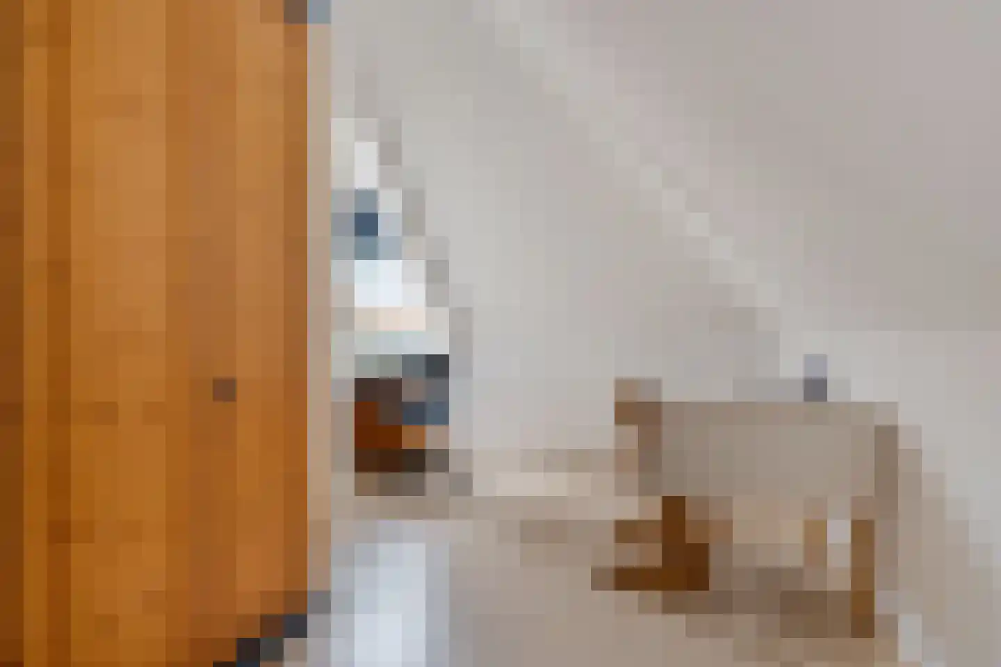 Ambachtsgeest 26 Noordwijk thumbnail 52