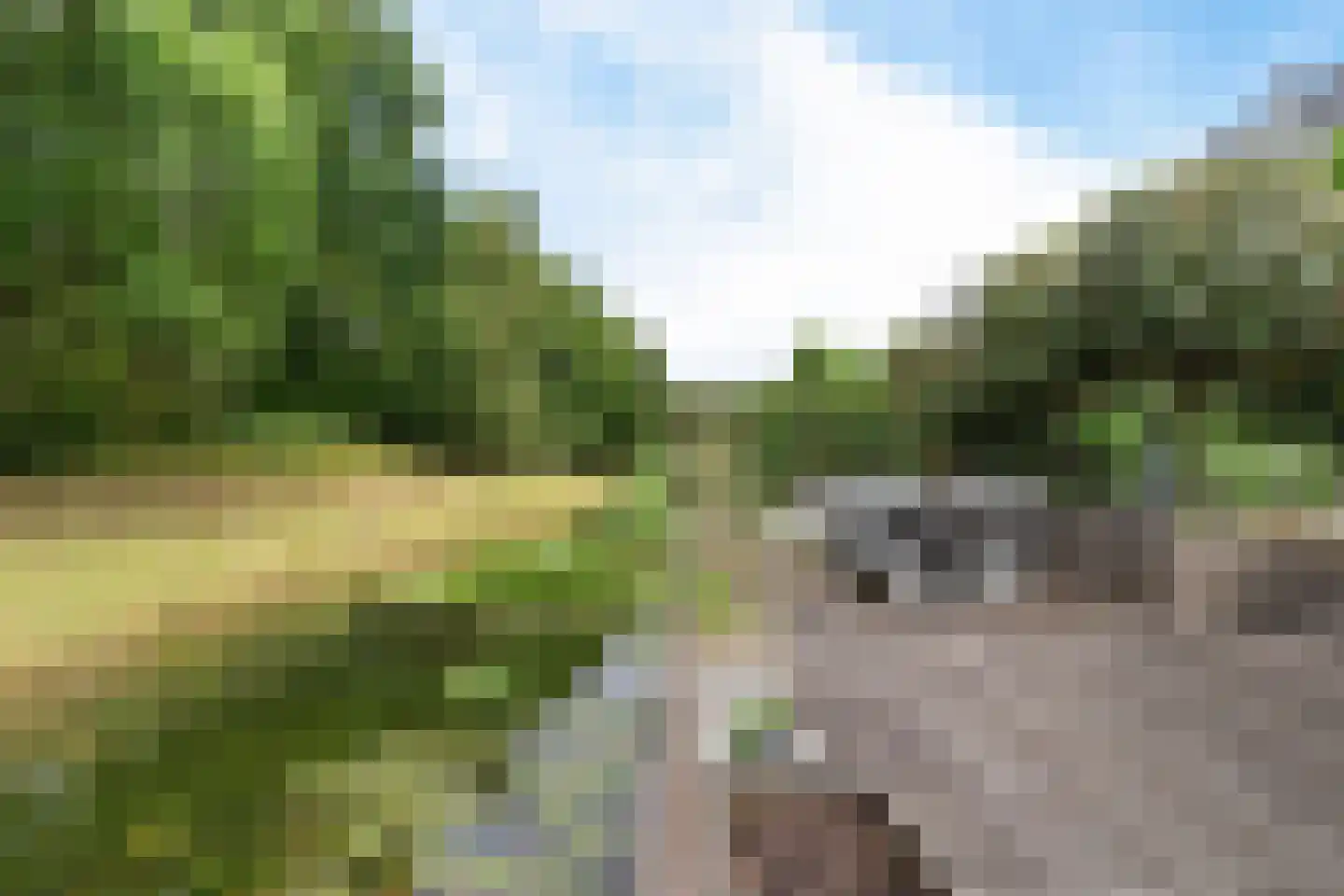 Ambachtsgeest 26 Noordwijk thumbnail 65