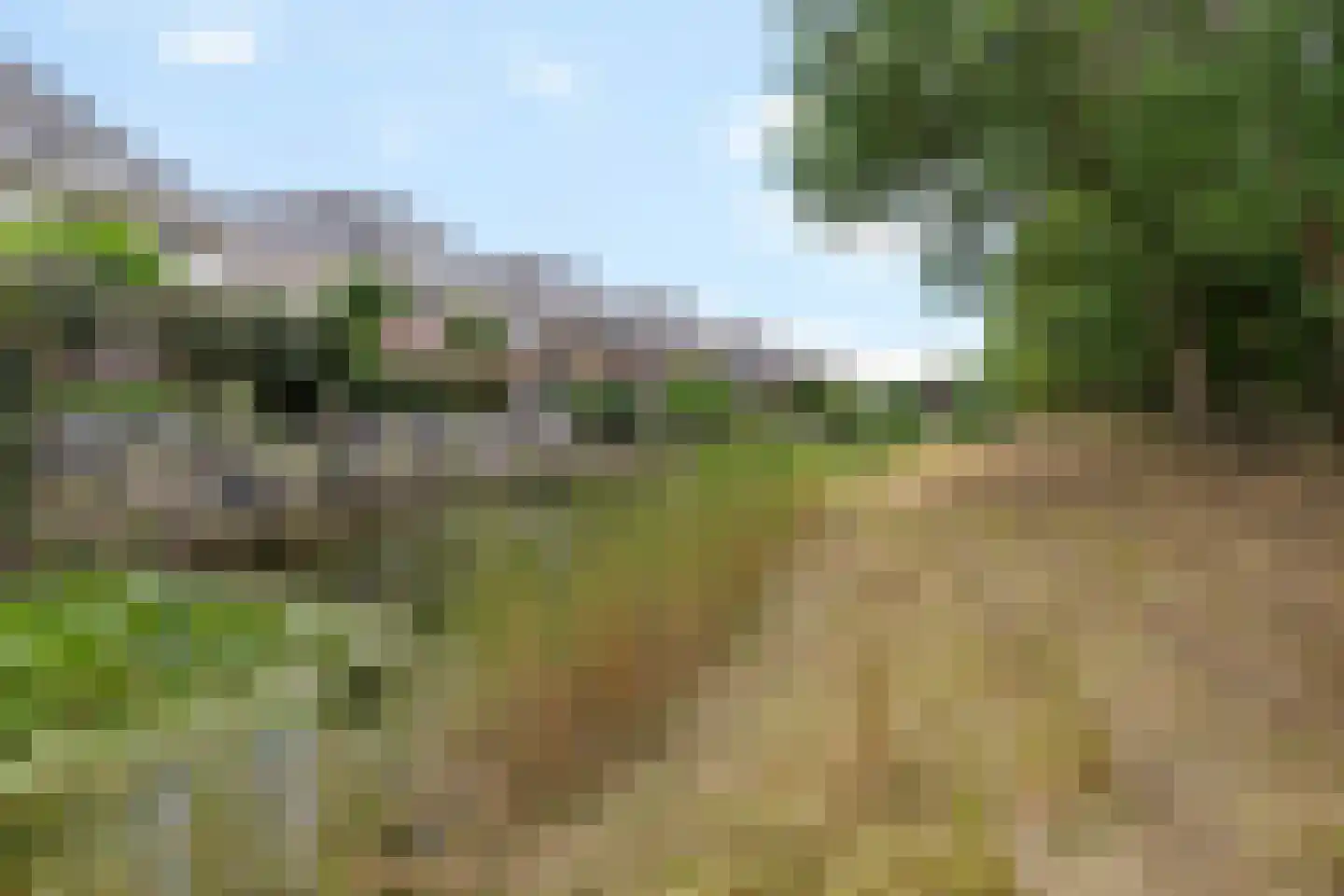 Ambachtsgeest 26 Noordwijk thumbnail 71