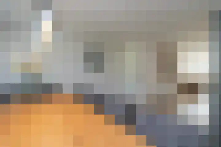 Ambachtsgeest 40 Noordwijk thumbnail 18