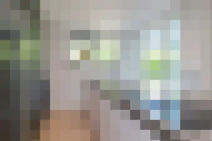 Ambachtsgeest 40 Noordwijk thumbnail 22