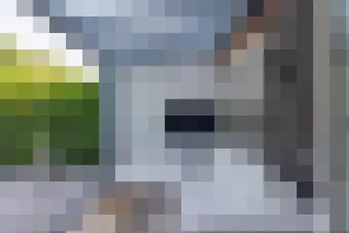 Ambachtsgeest 40 Noordwijk thumbnail 24