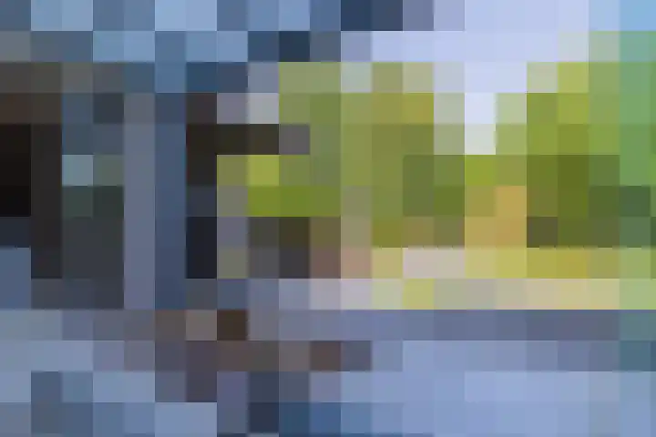 Ambachtsgeest 40 Noordwijk thumbnail 25