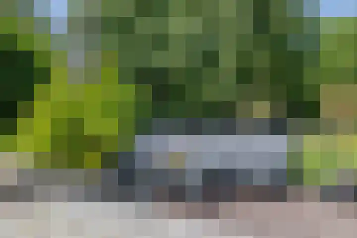 Ambachtsgeest 40 Noordwijk thumbnail 26