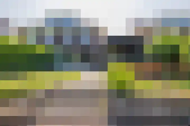 Ambachtsgeest 40 Noordwijk thumbnail 29