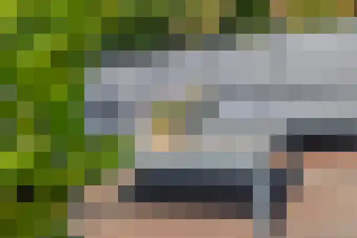Ambachtsgeest 40 Noordwijk thumbnail 30