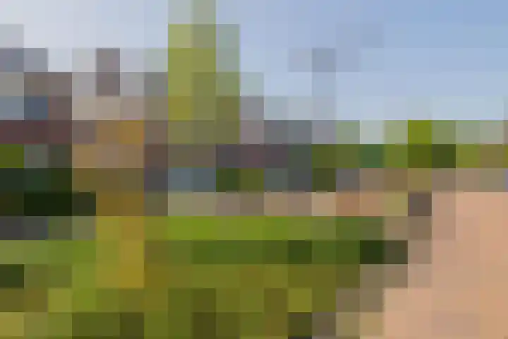 Ambachtsgeest 40 Noordwijk thumbnail 48