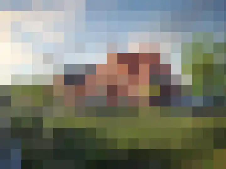 Ambachtsheerelaan 31 Harmelen thumbnail 6