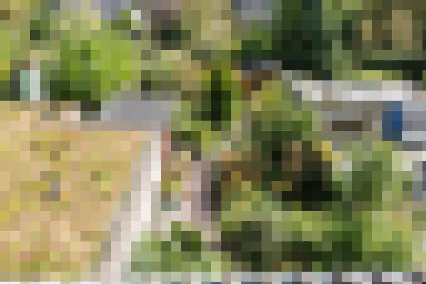 Ambachtsheerelaan 48 Harmelen thumbnail 45
